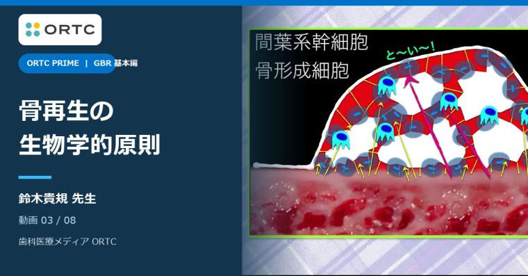 GBRの可能性と必要性 基本編｜骨再生の生物学的原則 鈴木貴規